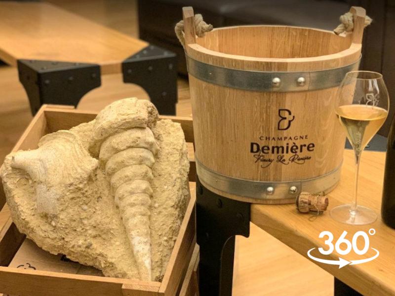 Champagne G.Tribaut, vignoble à Hautvillers en Champagne.