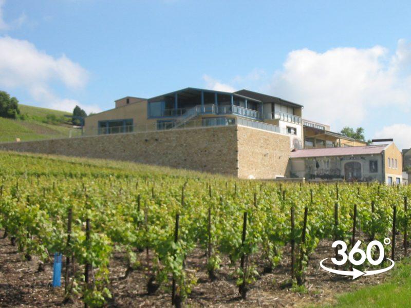 Champagne-Francois-Principe-Arnoult est une coopérative vinicole de FLEURY-LA-RIVIERE qui propose une visite animée des installations. La dégustation du vin se fait en salle panoramique.