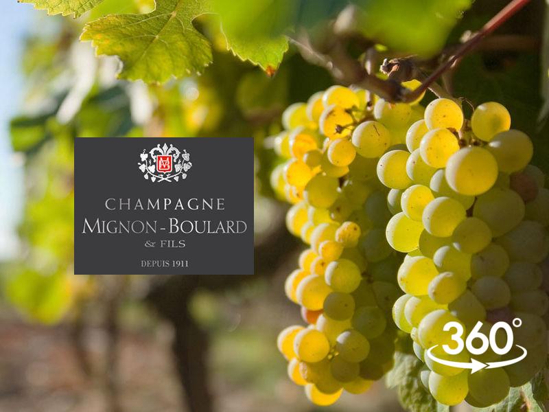 champagne-mignon-boulard