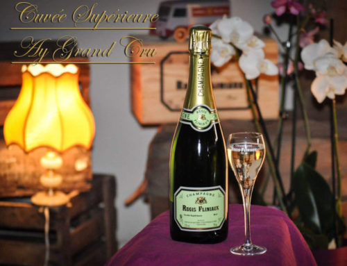 Champagne Régis Fliniaux