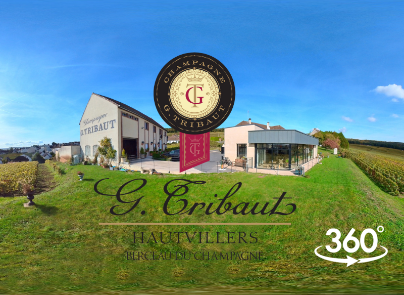 Champagne G.Tribaut, vignoble à Hautvillers en Champagne.